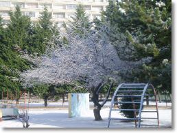 P1010136.JPG